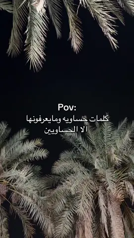 مالومه حساوي #الاحساء #السعودية #اكسبلور 