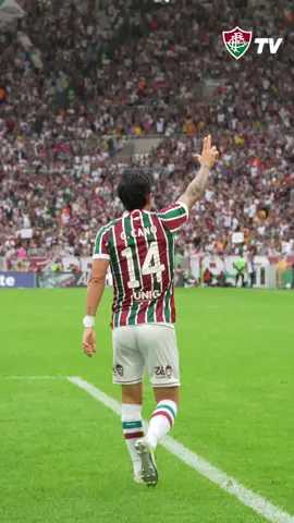 Que sorte a nossa, hein?  #fluminense #tiktokesportes #germancano 