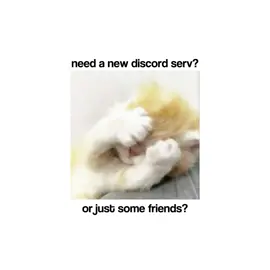 i beg #discord #friends #discordserver #roblox #fyp 