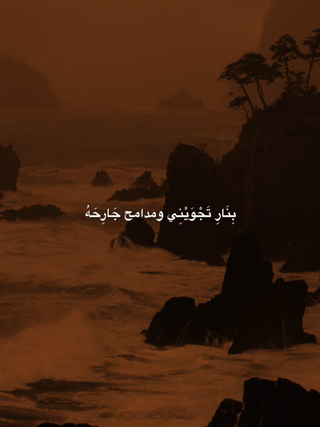 رايحه لعباس اعاتب رايحه 🧡 #سيد_فاقد #لطميات_حسينيه #fyp #explore #الشعب_الصيني_ماله_حل😂😂 
