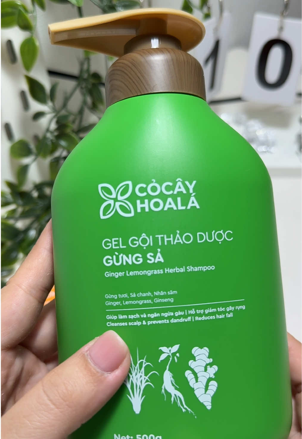 Dầu Gội Thảo Dược Cỏ Cây Hoa Lá Gừng Sả Hỗ Trợ Làm Dày Tóc, Ngăn Tóc Bết Dầu #daugoi #cocayhoala #review #xuhuong 