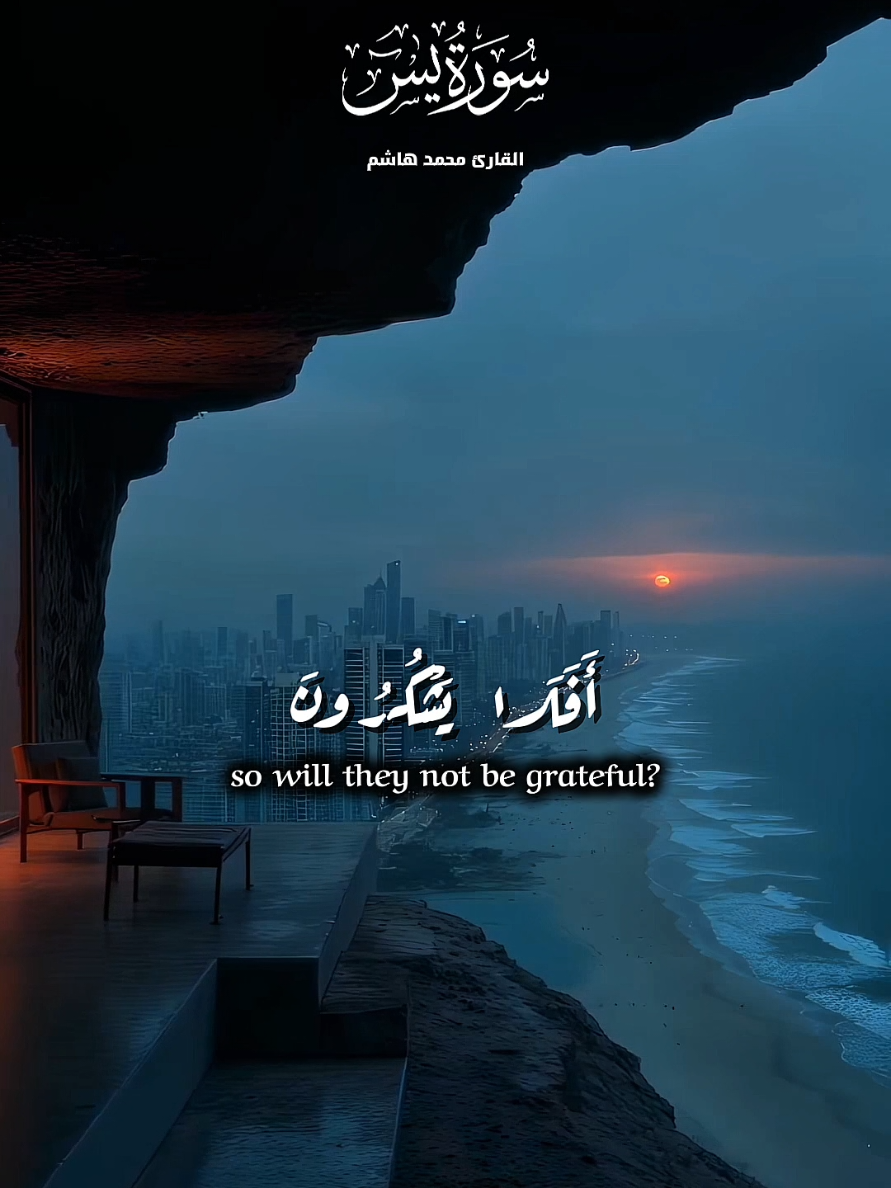 سورة ياسين | محمد هاشم Surah Yasin | Mohamed Hashim وَذَلَّلۡنَٰهَا لَهُمۡ فَمِنۡهَا رَكُوبُهُمۡ وَمِنۡهَا يَأۡكُلُونَ وَلَهُمۡ فِيهَا مَنَٰفِعُ وَمَشَارِبُۚ أَفَلَا يَشۡكُرُونَ وَٱتَّخَذُواْ مِن دُونِ ٱللَّهِ ءَالِهَةٗ لَّعَلَّهُمۡ يُنصَرُونَ لَا يَسۡتَطِيعُونَ نَصۡرَهُمۡ وَهُمۡ لَهُمۡ جُندٞ مُّحۡضَرُونَ فَلَا يَحۡزُنكَ قَوۡلُهُمۡۘ إِنَّا نَعۡلَمُ مَا يُسِرُّونَ وَمَا يُعۡلِنُونَ And We have tamed them for them, so some of them they ride, and some of them they eat And for them therein are [other] benefits and drinks, so will they not be grateful? But they have taken besides Allāh [false] deities that perhaps they would be helped They are not able to help them, and they [themselves] are for them soldiers in attendance So let not their speech grieve you. Indeed, We know what they conceal and what they declare #سورة_يس  #محمد_هاشم  #قران_كريم #quranrecitation  #fypシ 