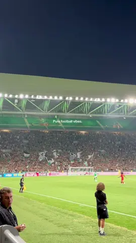 Verts et pour toujours 💚🤍 #asse #footballtiktok #saintetienne #stade 