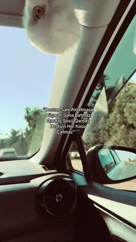 Partdadun🖤✊🏻#9ibrahimov 