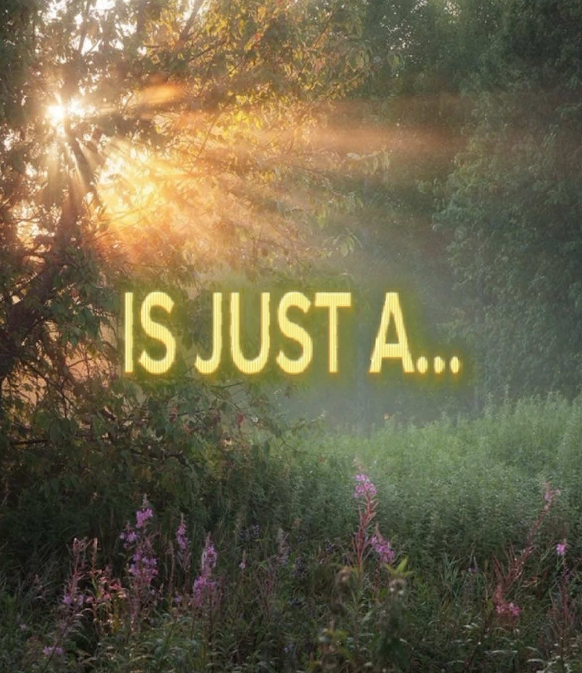 переходите в мой тгк, жду вас!!                                                   #валентинстрыкало #стрыкало #лето #рек 