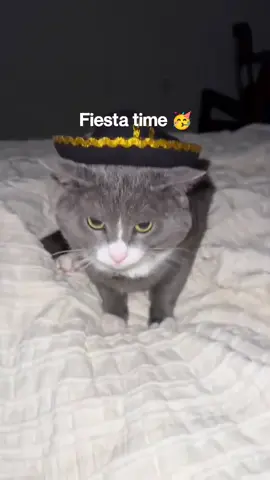 #cute #Love #relationships #girls #funny 