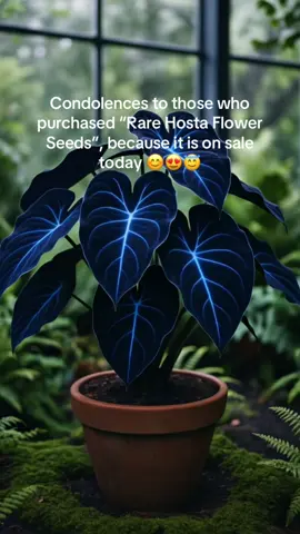 #viral #trending #dealsforyoudays #decor #flowers 