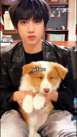 anjingnya trauma wkwk😆😭#zhangguiyuan_张桂源 #fyppppppppppppppppppppppp 
