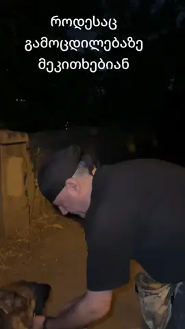 #ძაღლი. #თბილისი#საქართველო.#კინოლოგია .#კინოლოგიურირჩევები 