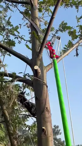 #serrote #podadearvores #jardim #ferramentas #tiktokshopbrasil 