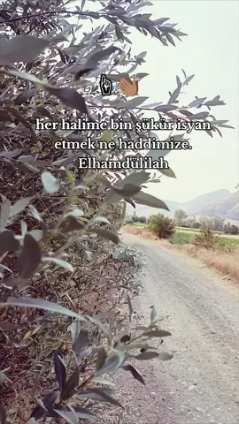 #keşfetttttttttt #storiylikvideolar📌 #keşvetbeniöneçıkar #storiylik #keşfetbeniöneçıkart 
