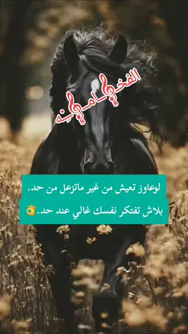 لوعاوز تعيش من غير ماتزعل من حد.. إوعي تفكر أوالعشم ياخدك إنك غالي على حد بعد أبوك وأمك هما وبس ضمانك وآمانك الوحيد...👌👌👌👌👌👌🤝🏻 #فۣۗہخۣۗہـــــــــــآمۣۗہة،🌹👑🌹 