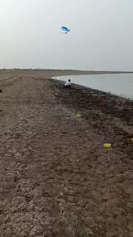 راوەماسی #راوەقوولاب#چوارقوورنە#حاجیاوا#رانیە #سلێمانی#هەولێر#دهۆك#کەرکوک#کوردستان#عراق #capcut#foryou#actev 