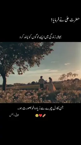 kisi se mohabbat chaira dekh ka na kro -Yes.  -Yes.  🥹❤️‍🩹 don't #under#rewiew #my #video#foryou      # sound #   # inshot # @tiktokpakistanofficial@TikTok 