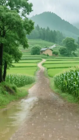 nature beauty and rain day 🌧️☔#foruyou #forupageシ #viral_video 