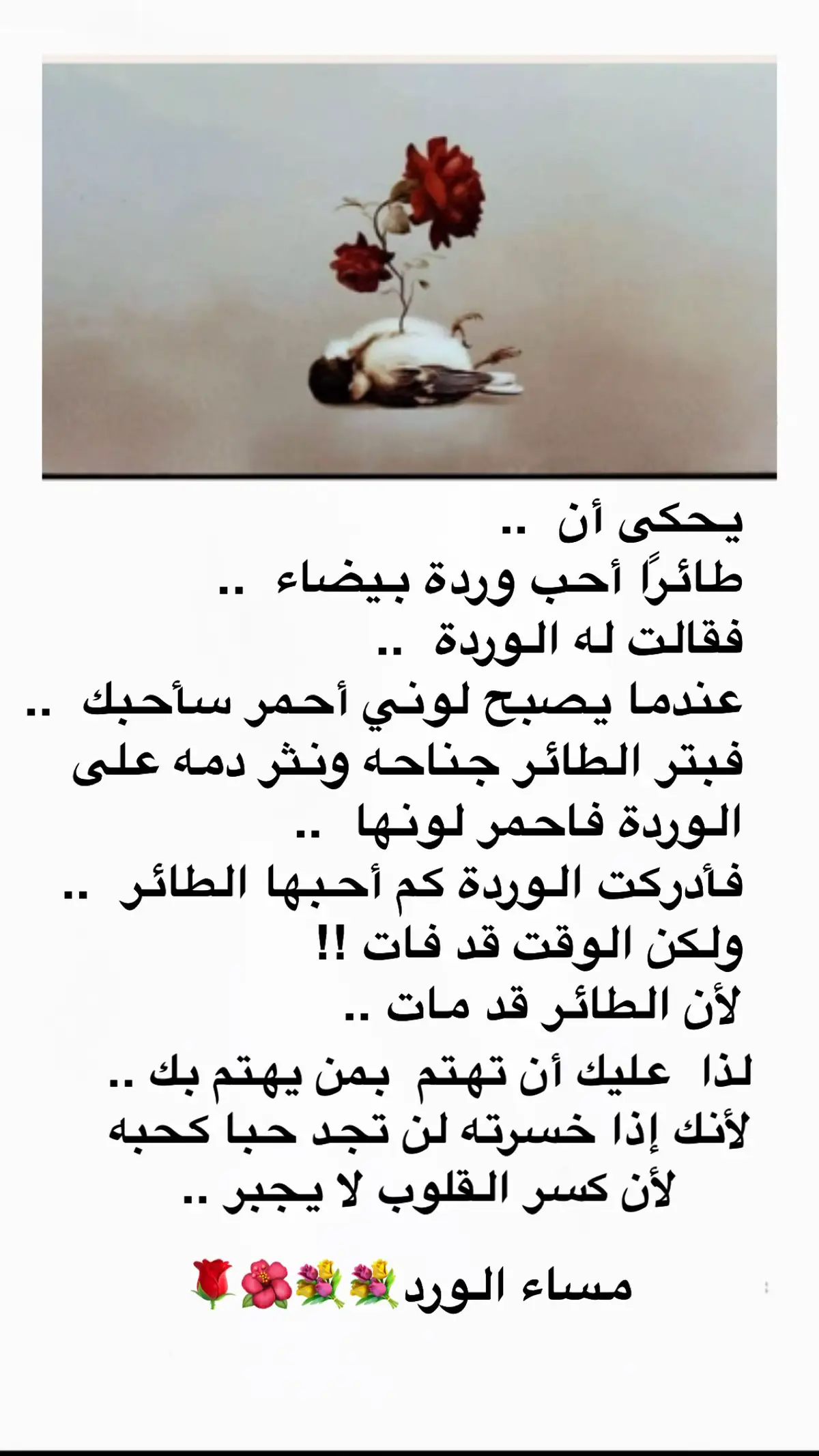 #explore #اtiktok #اكيسبلوررررررررر #