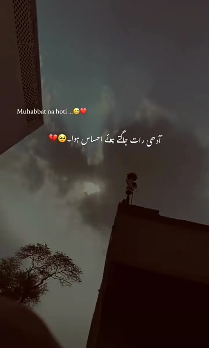 🫀🕊️#unfrezzmyaccount 