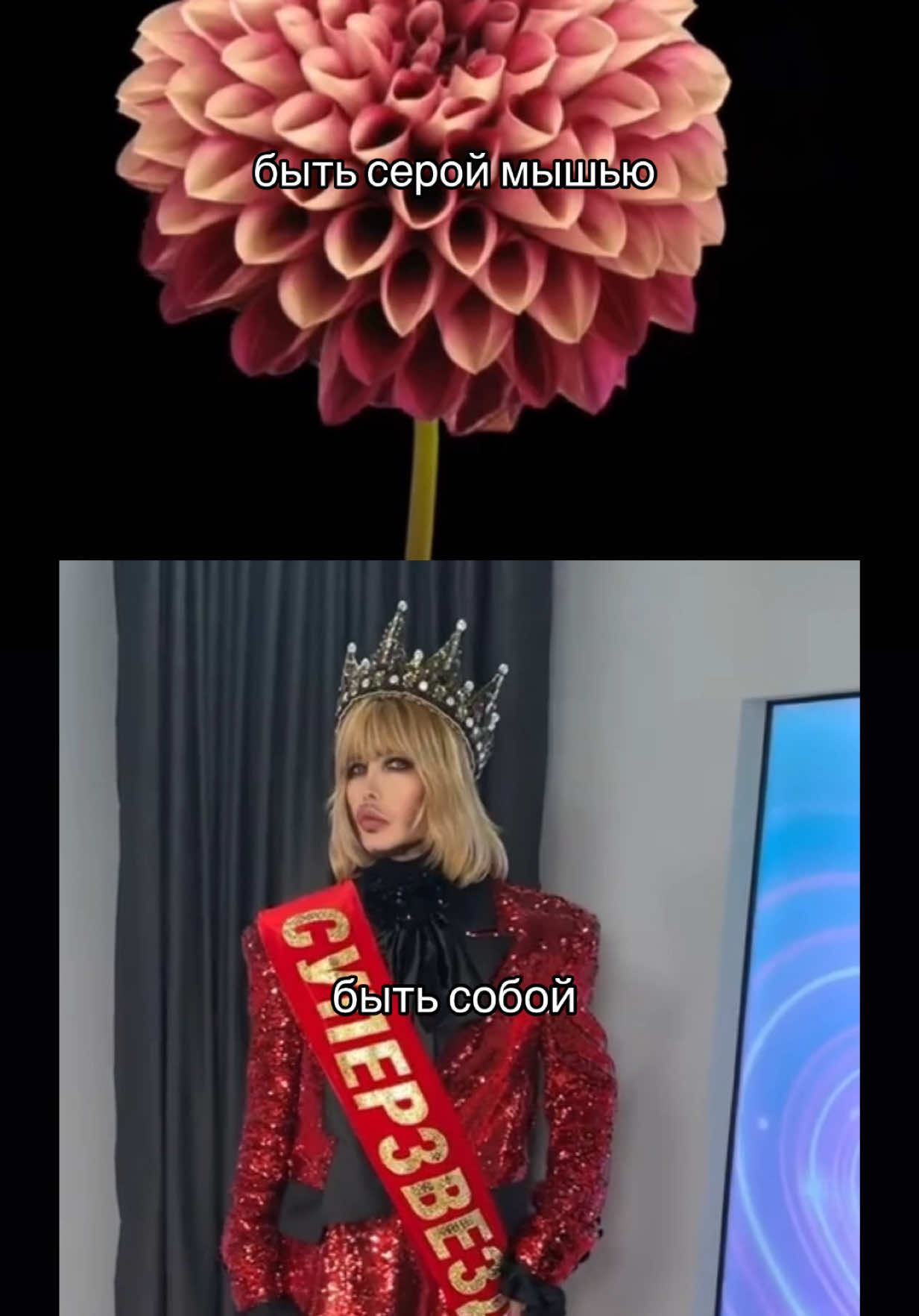 суперстар 