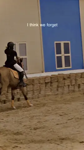 No riding no life🪄🏇🏽 #fyp #انوار_السبيعي #viral #horseriding #اكسبلور 