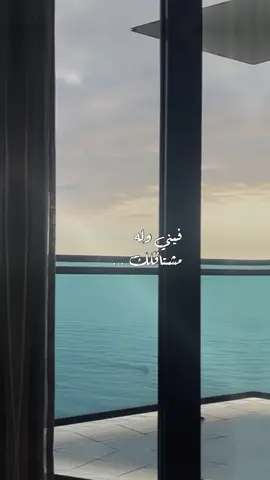 #مالي_خلق_احط_هاشتاقات #الشعب_الصيني_ماله_حل😂😂 #مشاهير_تيك_توك 