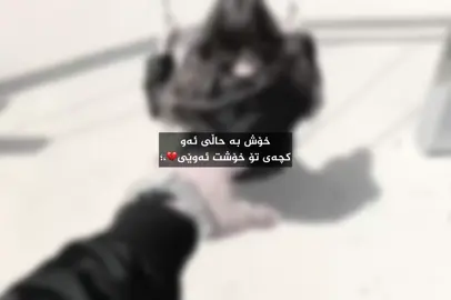 #tiktok #foryou #actives? @TikTok Indonesia @TikTok @#foryou 🖤،?