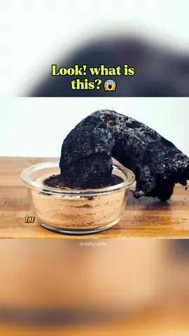 Look! what is this? 😱 #Science #experiment #lab reaction #tricks #soda #fyp #funexperiments #like #follow #share