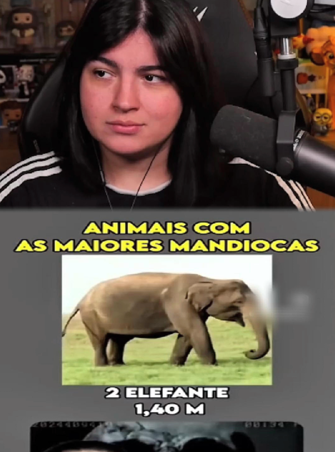 animais com as maiores m4nd1ocas 
