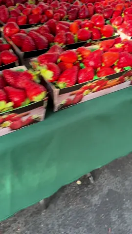 What food and prices look like in the Bay Area, California. Go earlier if you want to avoid crowds and strollers. Great fruits for lunchbox ideas. #farmersmarket #MountainView #California #groceries #backtoschool