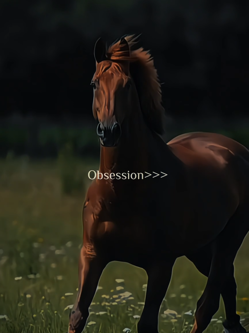 BLACK BEAUTY | WHITE BEAUTY  | HIPPOPHILE | EQUESTRIAN  | OBSESSION | HORSE LOVE  #horselovers❤️🐎❤️ #horseontiktok #blackwhitehorse #creatorsearchinsights #horsewhisperer_hippophil @Anime Fans @HORSEWHISPERER_HIPPOPHILE🫀 