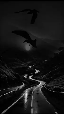 لا تحمل الدنيا فإنها لله  #اقتباسات  #اقتباسات_عبارات_خواطر  #عبارات_جميلة_وقويه😉🖤 