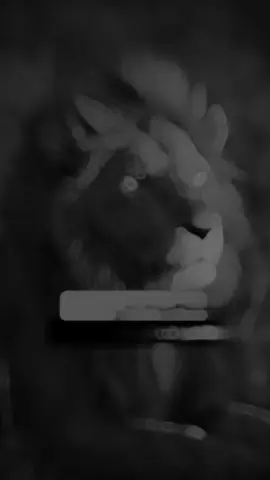 إقتباسات ⚔️#تصميم_فيديوهات🎶🎤🎬 #viralvideo #مصر #viral #ستوريات 