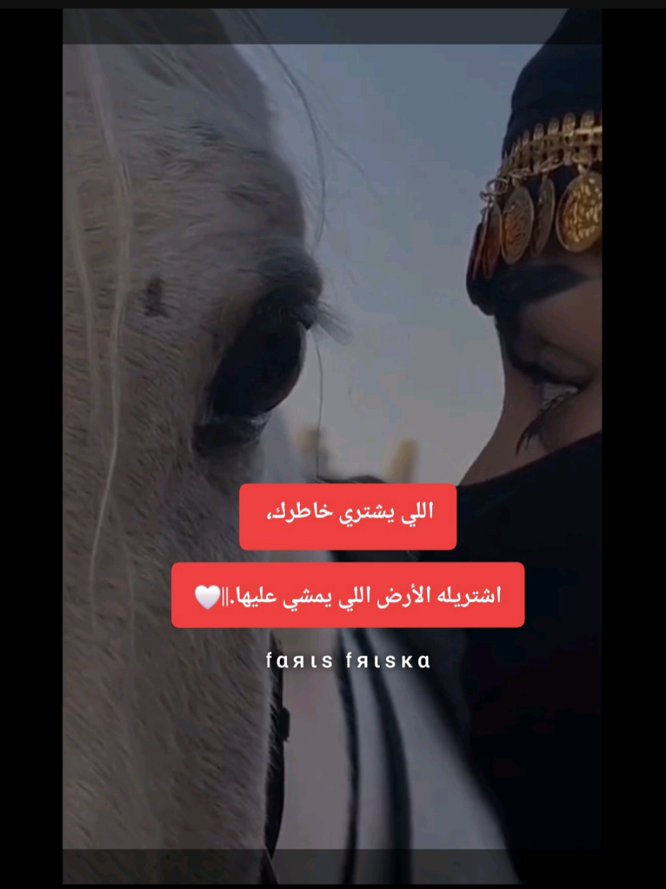 #خيل_وخياله🐎  #fyppppppppppppppppppppp 