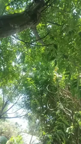 #nofear #realidad #sadreality #tarde #calor 