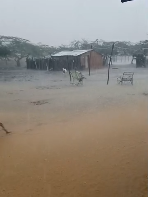 lluvia d bendiciones en campo florido 