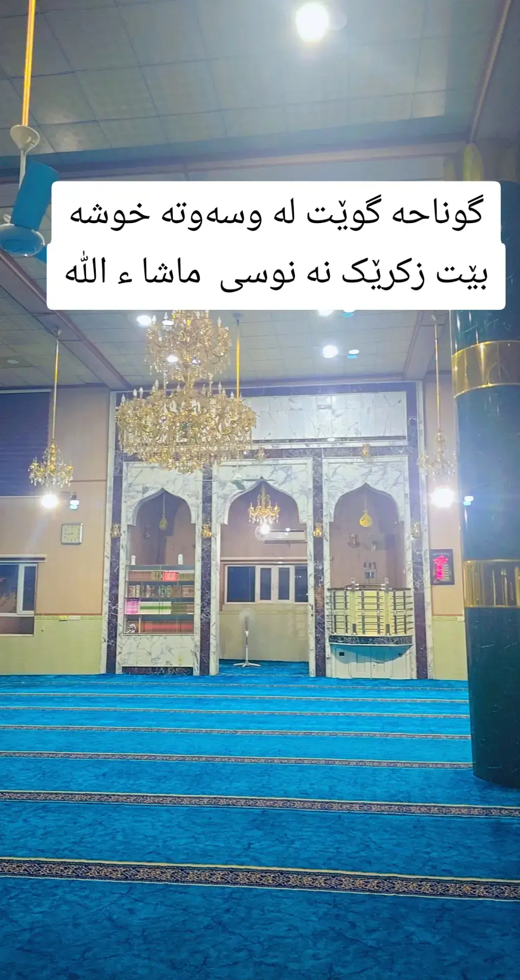 #سبحان_الله_وبحمده_سبحان_الله_العظيم🤲🤲🤲 #سبحان_الله_وبحمده_سبحان_الله_العظيم🌺🌺🌺 