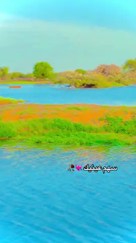 #مشاهير_تيك_توك_مشاهير_العرب #احلا_متابعين 