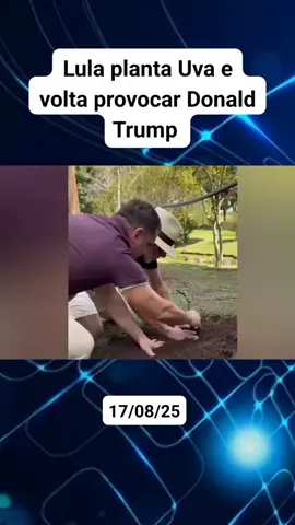 Lula planta Uva e volta provocar Donald Trump . #noticias #politica #goldnewsoficial 