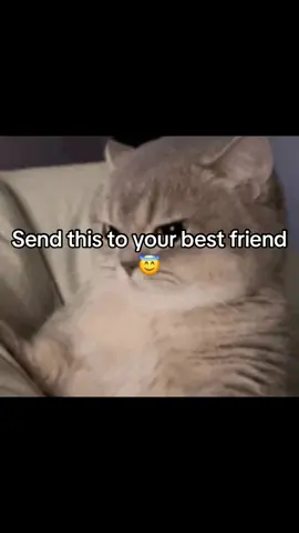 SEND THIS TO YOUR BESTIE 😈😈 #fyppppppppppppppppppppppp #goviraltiktok #sendthistoyourbestfriend #funnytiktok #tagthem 