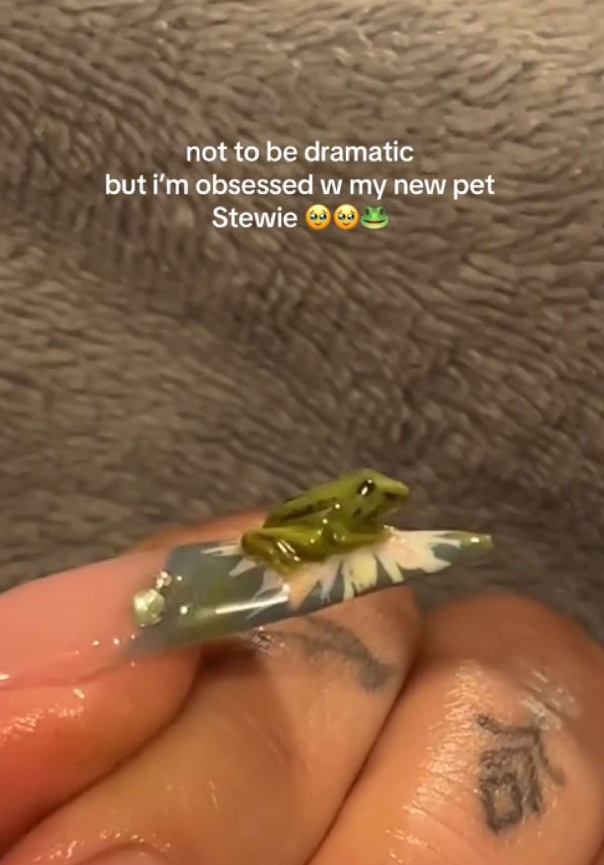 first time making a mini pet 🥹😮‍💨 #fyp#nailpet#nails#naildesign#frog 