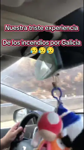 Indignados por lo que está ocurriendo con los incendios en España @Larbilla & Z O R A - Design 😡😡😡 #incendio #fuego #galicia #infierno #españa 