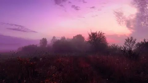 И никого, и ничего..#foryou #atmosphere #рассвет #рекомендации #nature 