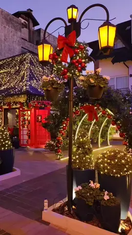 #bermonthsfeels🎄🎄🎄 #bermonthsiscoming #christmastiktok #christmassong #chridtmasiscoming 