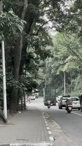 පාරවල් හොල්ලන යක්කු 🥵 ..