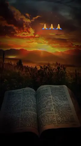 RA'ATIN LI KA̱CUA SA' Q'EQCHI'  📖📖__Tzꞌi̱banbil saꞌ li Santil Hu chirix li xcuuk li cutan li naxye chi joꞌcaꞌin: Ut li Dios quixrak lix cꞌanjel ut quihilan saꞌ xcuuk li cutan. #qeqchi #chub_26 #queqchi #palabradedios #kekchi #amen #queqchi #kekchi  Aban li ani napa̱ban anakcuan toj naru ta̱oc chi hila̱nc riqꞌuin li k'acua 