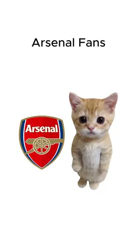 Arsenal fans explained by cats ;) #arsenal #football #cats #catanimation #epl 