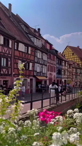 Good times in Colmar France 🇫🇷 #Summer #colmar #alsace #france🇫🇷 #vibe 