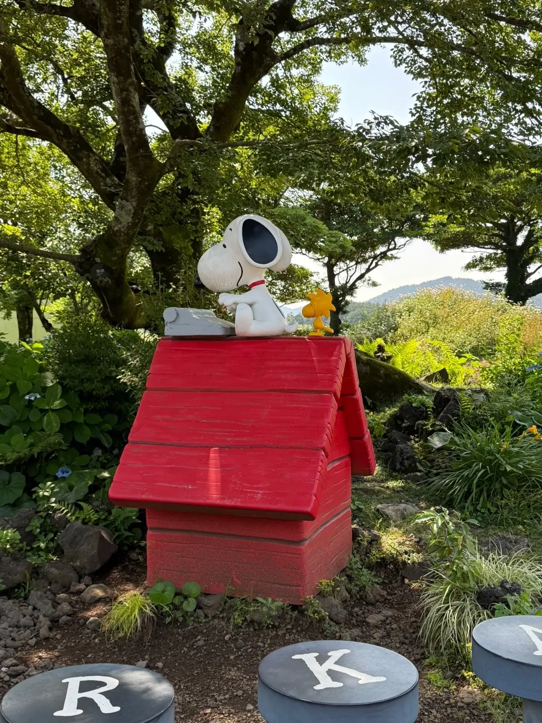too many photos 🫩 #jejuisland #snoopy #korea 