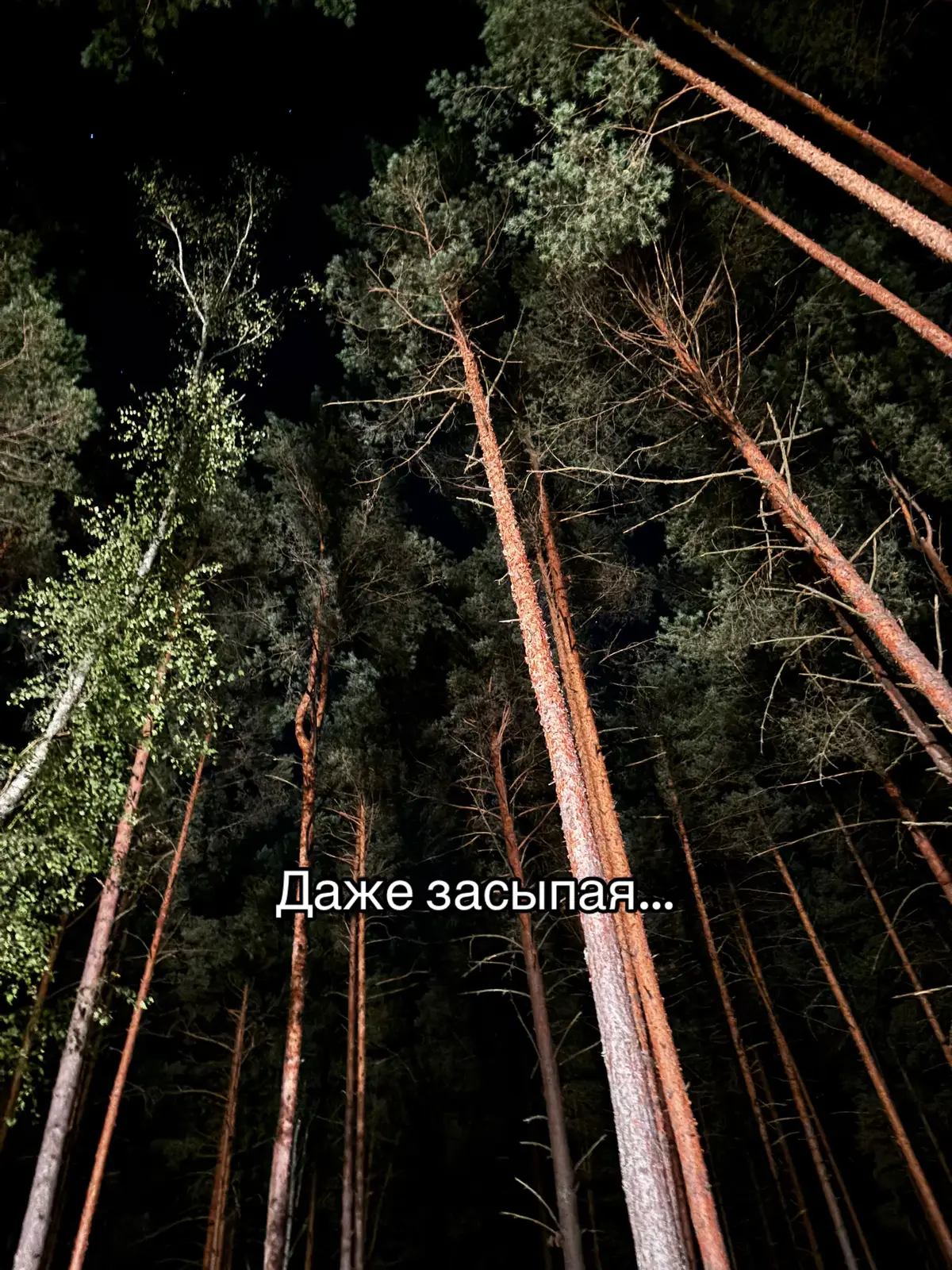 #рекомендации #fypシ゚ #fo 