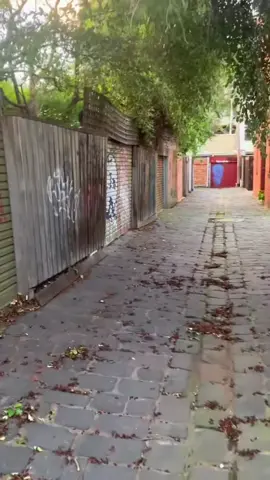 On 27 October 1927, when Squizzy Taylor and Snowy Cutmore had been done in, Herbert Budgie Wilson made his escape through these exact laneways. #squizzytaylor #Snowycutmore #Truecrime #FitzroyVendetta #crimehistory 
