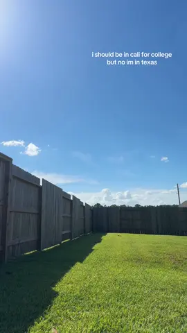 atleast it’s sunny